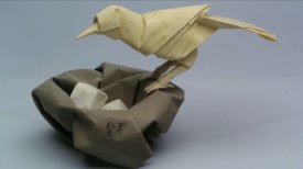 Squares-Folds-Life: Contemporary Origami by Robert J. Lang Trailer