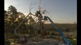 Installation of Roxy Paine's "Ferment"