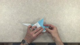 Robert Lang Teaches Origami: Sparrow