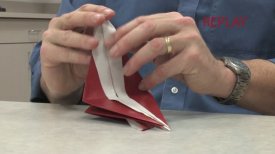 Robert Lang Teaches Origami: Swallow