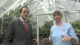 Director's Journal:  The IMA Greenhouse