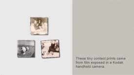 Vuillard and the Photograph