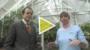Director's Journal:  The IMA Greenhouse